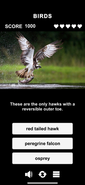 Animal Class Screenshot