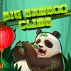 Big Bamboo Climb icon