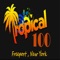 Icon Tropical 100 Radio