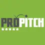 Propitch Consultant