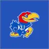 Kansas Jayhawks problems & troubleshooting and solutions