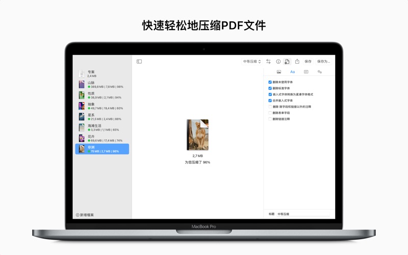 PDF Squeezer 4