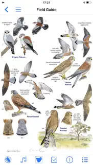 roberts bird guide 2 iap problems & solutions and troubleshooting guide - 3