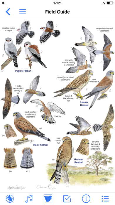 Roberts Bird Guide 2 iapのおすすめ画像2