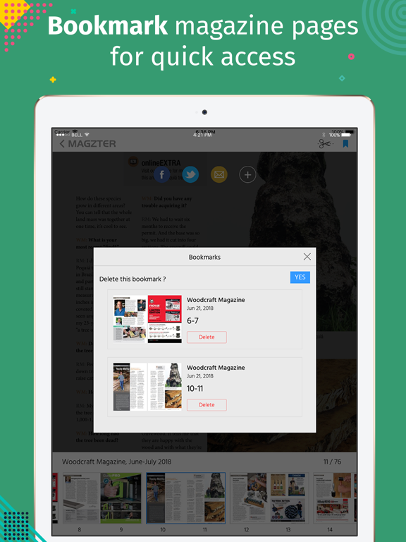 Screenshot #4 for Woodcraft Magazine