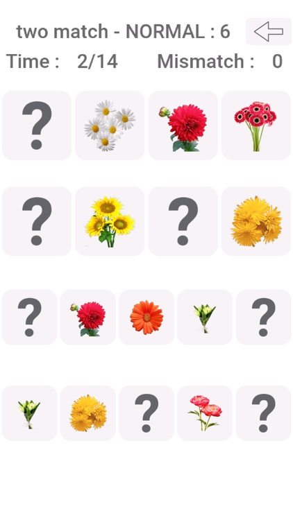 Picture Match : Classic Puzzle