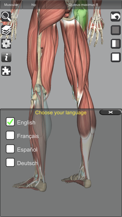 Screenshot #3 pour 3D Anatomy Learning