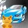 Bumper Slot Car Race game QCat App Feedback