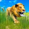 Angry Lion Wild Animal Hunting