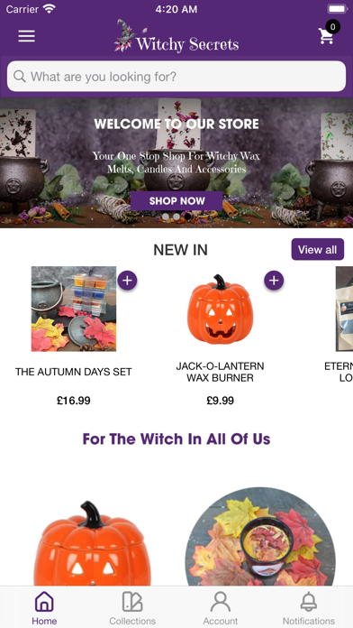 Witchy Secrets Screenshot