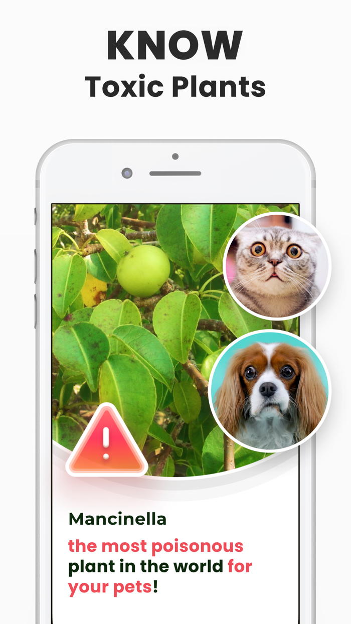 Plant Identifier - PlantMe