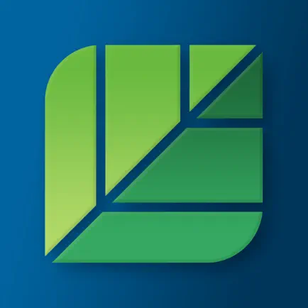 Capillary Читы