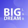 Big Dream App Feedback