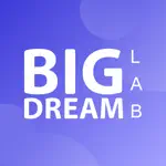 Big Dream App Problems