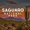 Saguaro National Park Guide - iPadアプリ