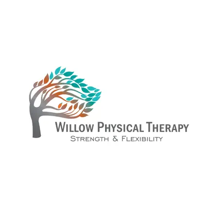 Willow Physical Therapy Cheats