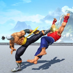 Kung Fu Fighter Karate Games