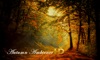 Autumn Ambience HD