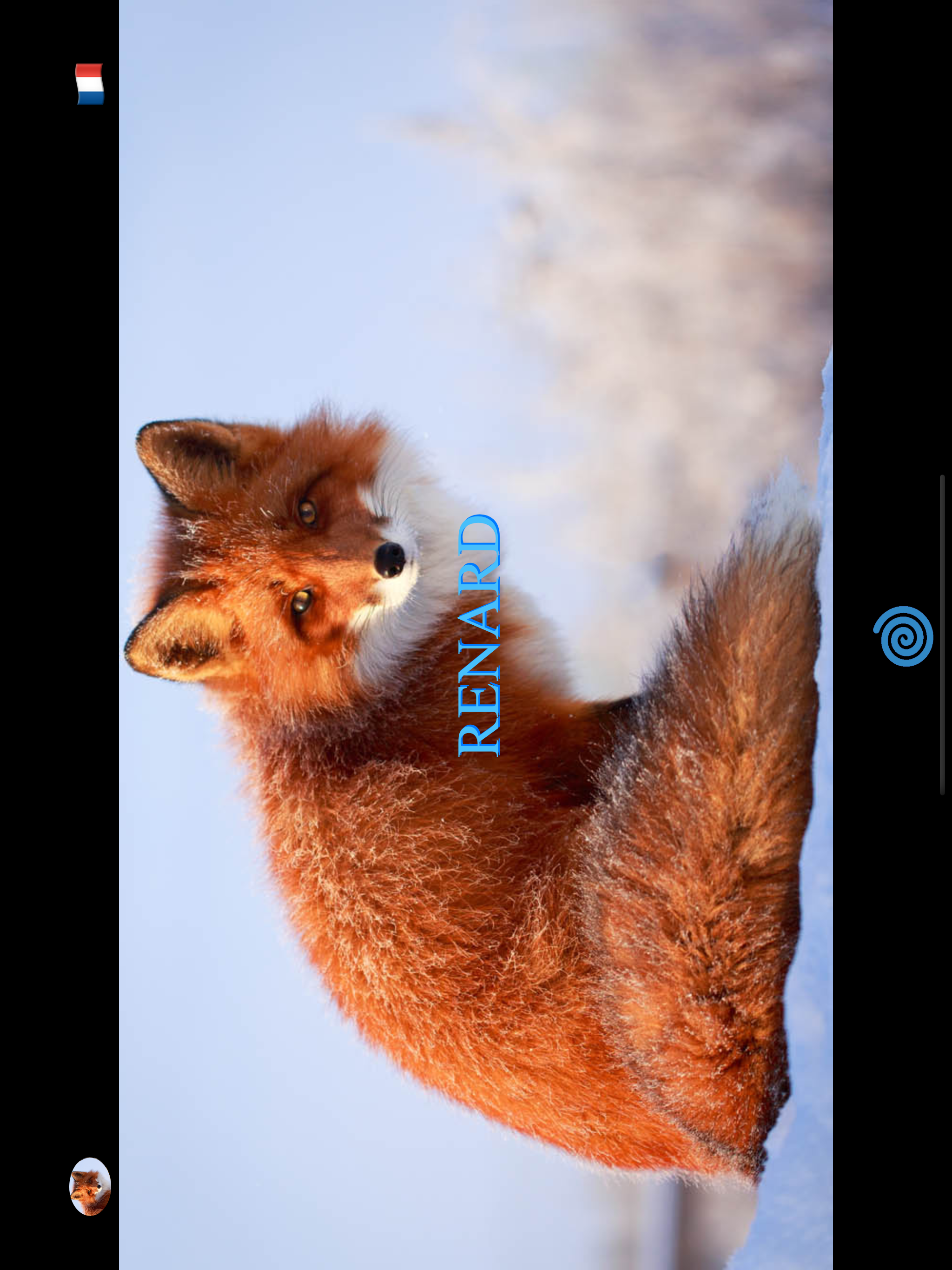 Animal Pad Sounds screenshot 9