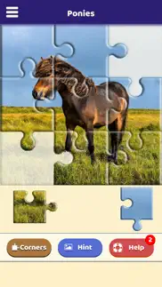pony love puzzle iphone screenshot 1