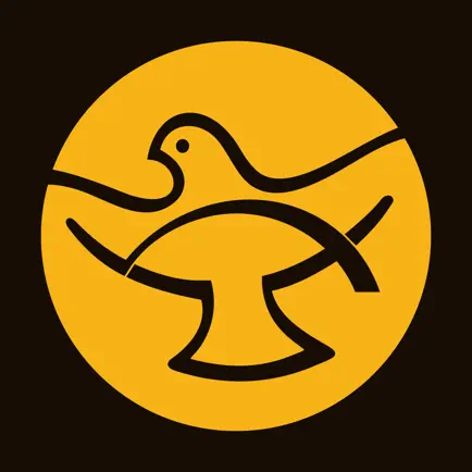 Shalom World TV Читы