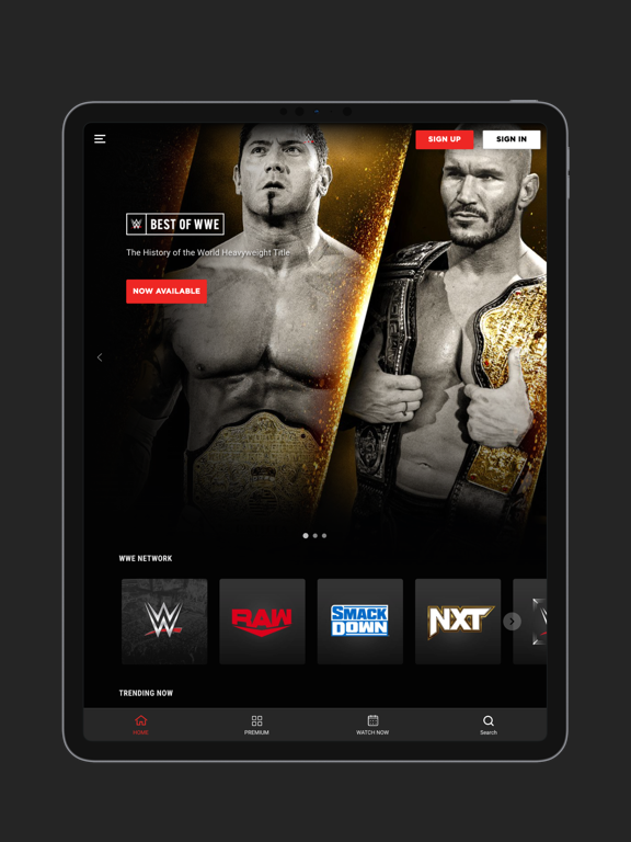 Screenshot #4 pour WWE