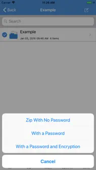 IZip Pro -Zip Unzip Unrar Tool iphone resimleri 4