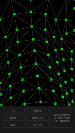 Face Mesh screenshot 2