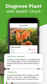ai plant identifier : plantid iphone screenshot 3