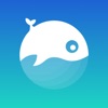 Willy app icon