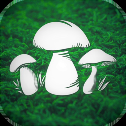 The Mushroom Hunter icon