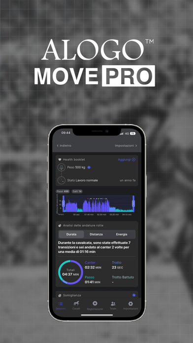 Alogo Performance