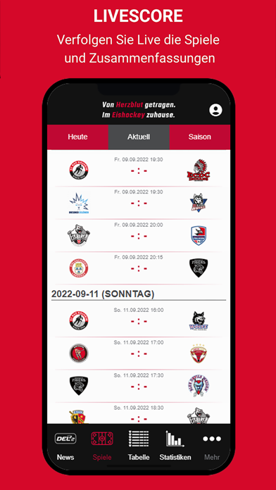 Deutsche Eishockey Liga 2 Screenshot