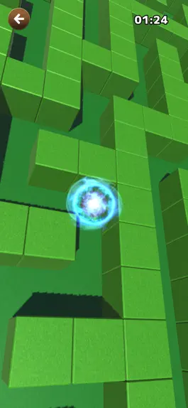 Game screenshot Maze Ball Random apk