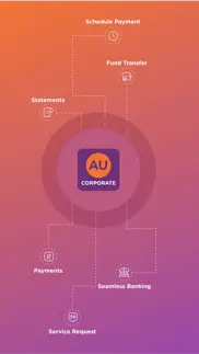 au bank corporate problems & solutions and troubleshooting guide - 3