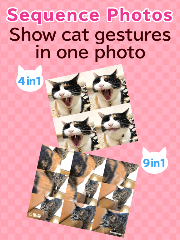 toruneko (KittyCam) iPad screenshot 8 - Photo & Video app