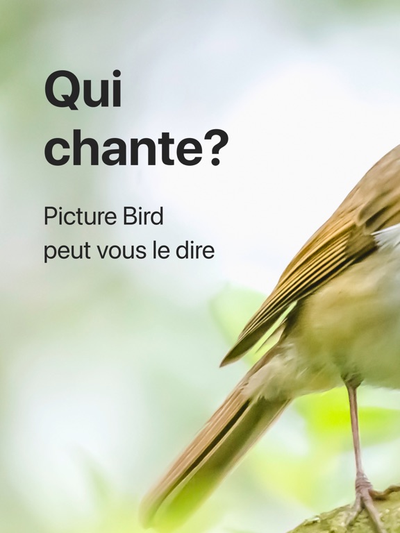 Screenshot #4 pour Picture Bird - Oiseaux ID