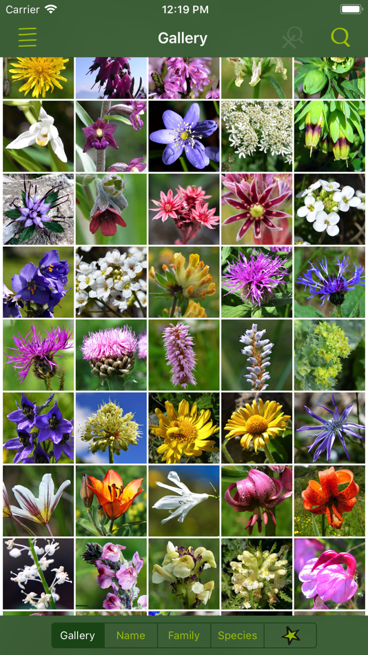 #2. AlpineFlower Finder – Europe (iOS) 由: renata caviglia