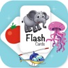 Flash Cards Learning Game icon