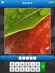 Guess the Close Up - Pics Quiz ipad bilder 3