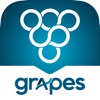 Conexo Grapes icon