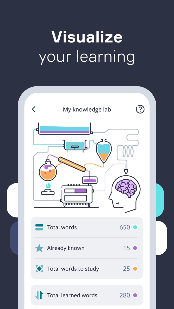 Lingvist Learn Languages Fast
