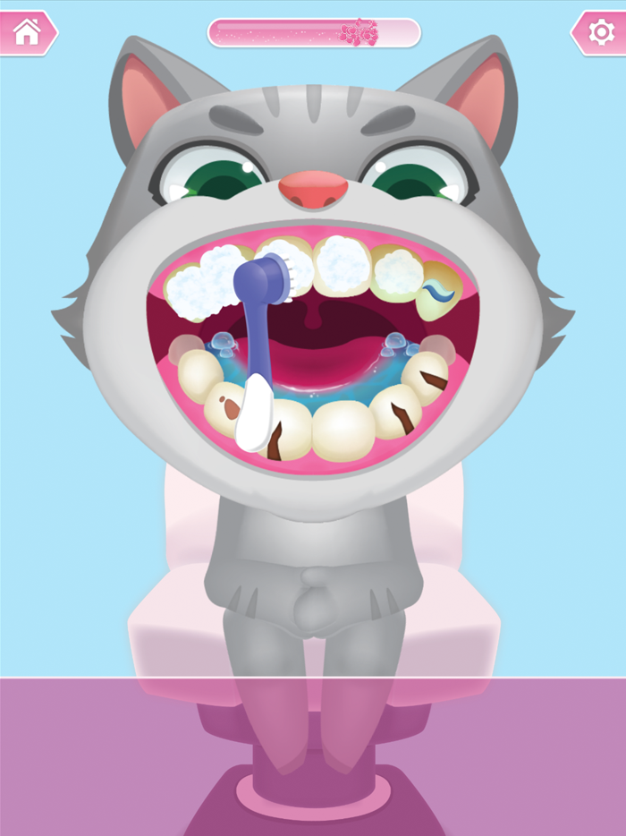 Animal Dentist Dental care