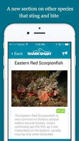 Game screenshot SharkSmart hack