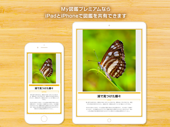 My図鑑 ―コレクション管理アプリ― iPad screenshot 7