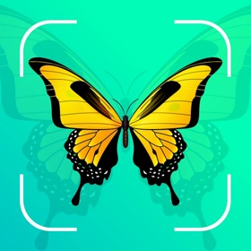 螢幕擷取畫面 (4) Bug Identifier Insect Id
