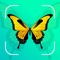 The application was created by the developers with the aim of making it easy for users to identify any insects that is encountered in daily life