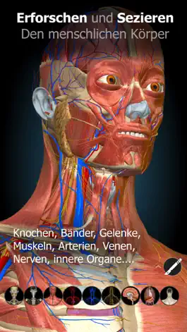 Game screenshot Anatomy Learning - 3D Anatomy hack