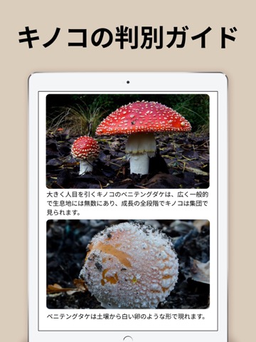 Picture Mushroom - 1秒キノコ図鑑のおすすめ画像4