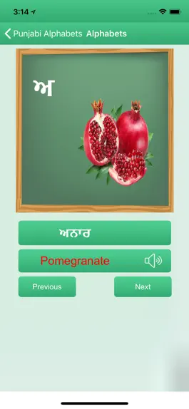 Game screenshot Learn-Punjabi-Language apk